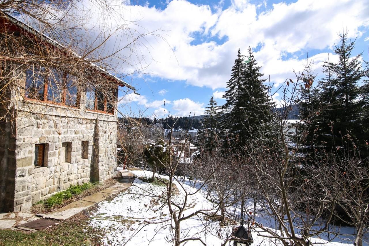 Виллы Vila Belvedere Предял-20