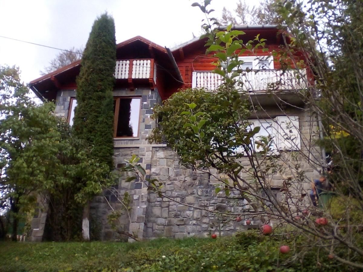 Виллы Vila Belvedere Предял-5