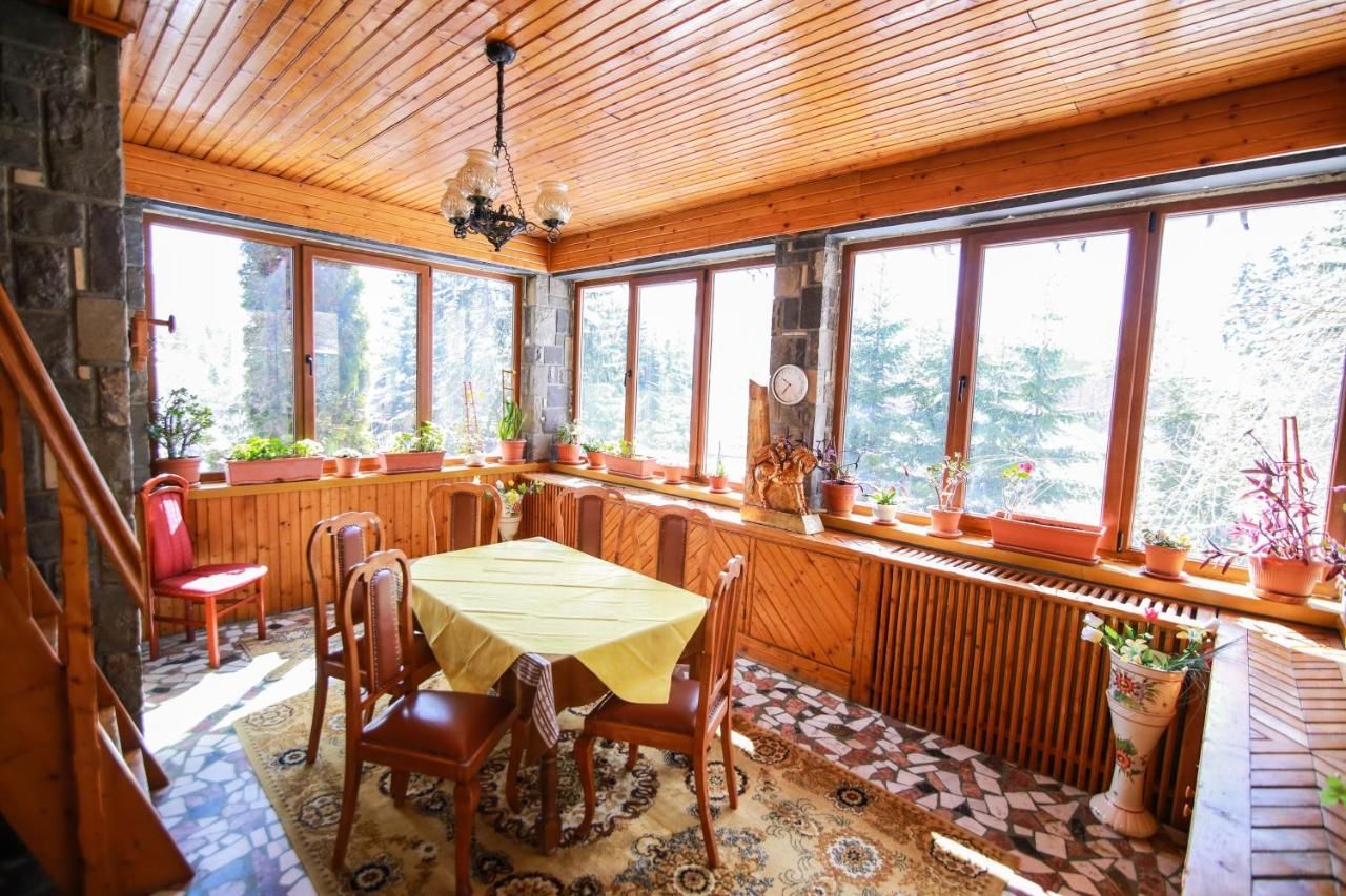 Виллы Vila Belvedere Предял-36