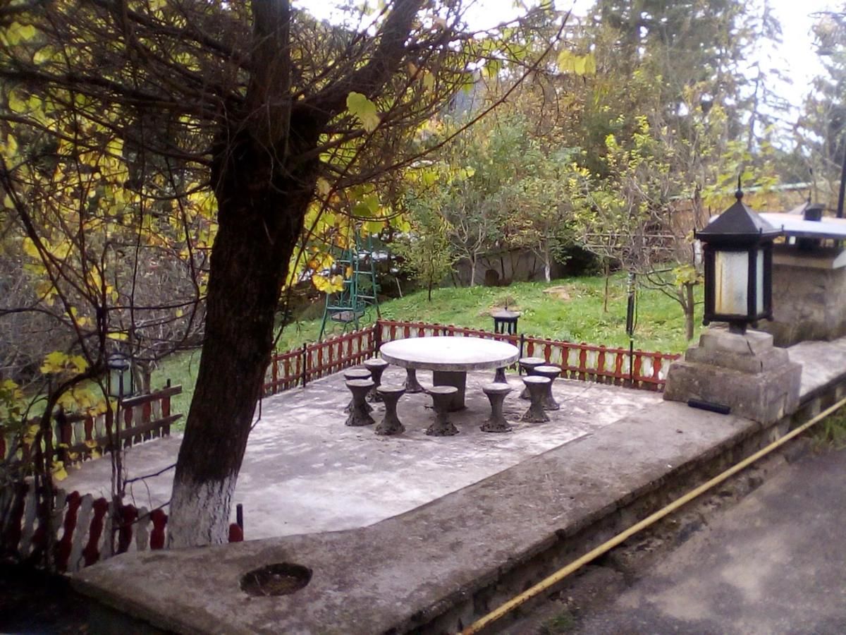 Виллы Vila Belvedere Предял-9