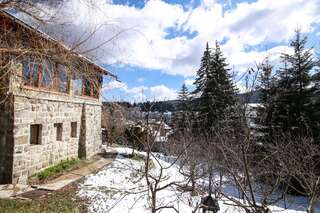 Виллы Vila Belvedere Предял Вилла-17